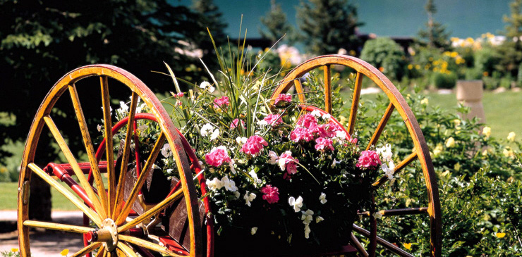 山水之光&mdash;基地名称