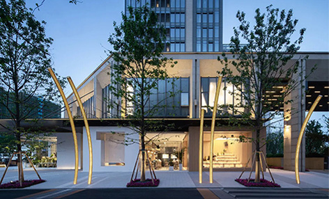 山水之光：园林绿化工程实力品牌，用实力铸就专业