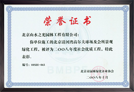荣誉证书